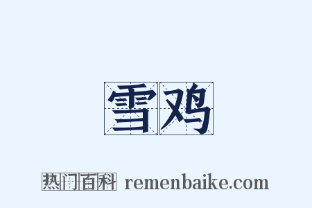 雪鸡是什么意思的图片